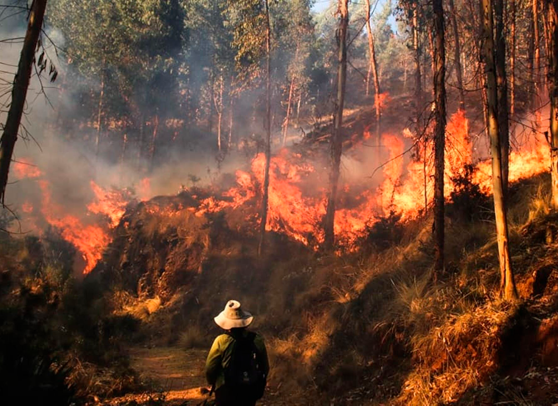 INCENDIOS FORESTALES EN LA AMAZONÍA PERUANA